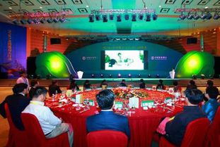 廣西專業婚慶策劃主持哪家好？非凡婚慶活動策劃全方位解析